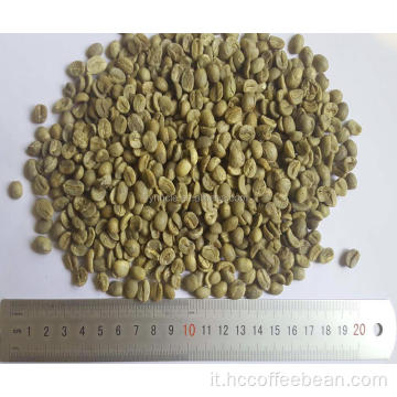 chicchi di caffè verde dello Yunnan grado AA
